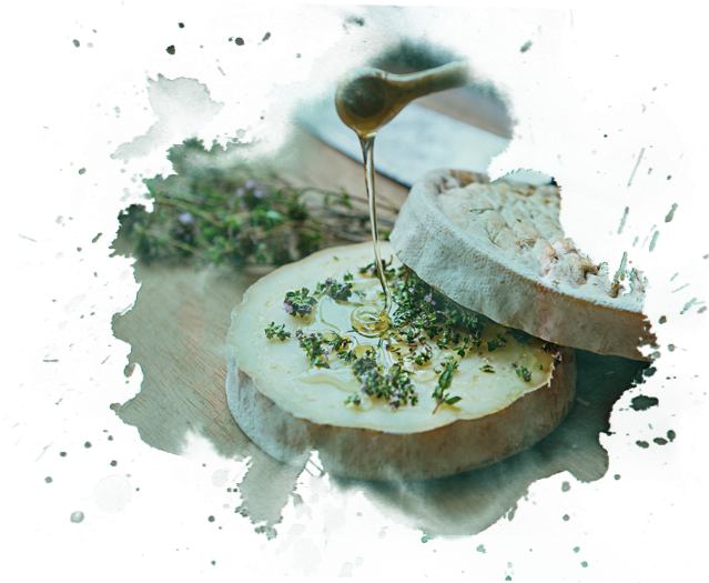 mixology_foodpairing_gubbencheese_hero_image_alt